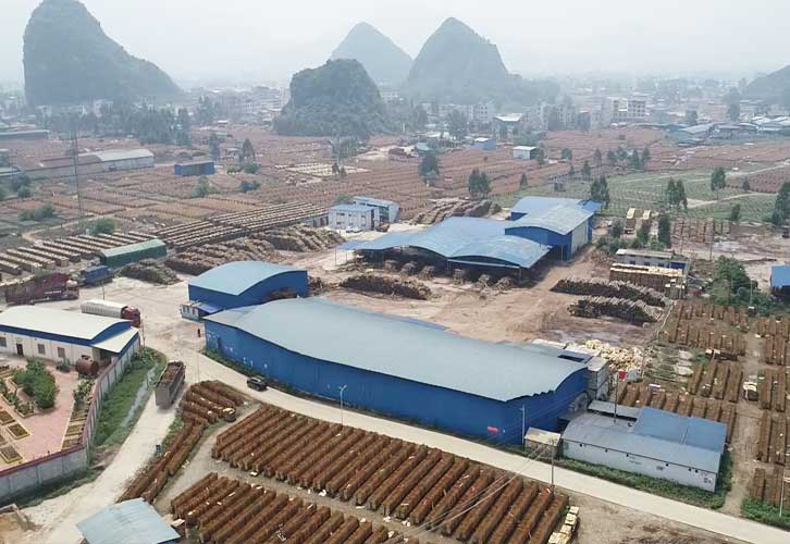 山二宝木业百亩木模板材料单板基地